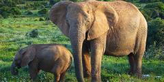 Other places to stay in South Africa Other places to stay in South Africa