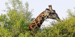 Other places to stay in South Africa Other places to stay in South Africa