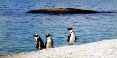 Other places to stay in South Africa