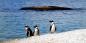 South_Africa_53603_98KB_221209