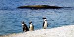 South_Africa_53603_98KB_221209