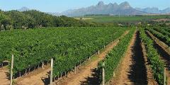 Other places to stay in South Africa
