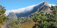 Other places to stay in South Africa Other places to stay in South Africa
