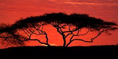 Other places to stay in Tanzania