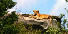 Other places to stay in Tanzania