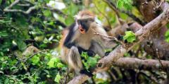 Other places to stay in Tanzania Other places to stay in Tanzania
