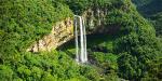 Brazil_53719_99KB_231209