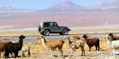 Other places to stay in Chile