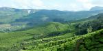 Tailormade Tours - Kerala, India