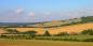 South Downs (© Simon Carey) South_East_England_55260_78KB_020310