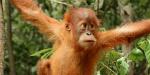 Indonesia_55292_48KB_030310