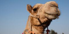 Places to stay in Egypt