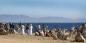 Red_Sea__Sinai_57353_94KB_290410