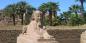 Sphinx Alley, Luxor Luxor__The_Nile_57373_99KB_300410