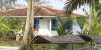 Casuarina