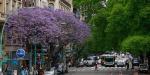 Avenida Santa Fe CasaCalma Hotel, Argentina, Avenida Santa Fe