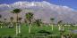 Palm_Springs_60189_98KB_120710