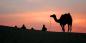 Jaisalmer_61146_91KB_300710