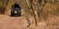 Jeep Safari at Sher Bagh Ranthambhore_NP_61162_69KB_300710