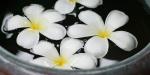 Zazen Boutique Resort Spa, Thailand