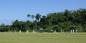 Jamaica_62223_171KB_230810