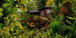 Geejam, Jamaica