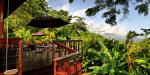 Bushbar Geejam, Jamaica, Bushbar