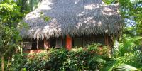 Jungle Casita