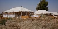 Tented Suite