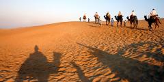 Other places to stay in India