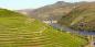 Regua, Douro Valley (© Husond) Porto__North_70424_107KB_290111