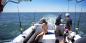North_West_Cape_70971_98KB_100211