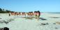 Cable Beach, Broome © Nachoman-au The_Kimberleys_72311_97KB_250211