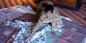 Jaipur_73929_116KB_070411