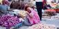 Jaipur_73931_116KB_070411
