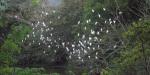 Boutique Hotel Quinta Chanabnal, Mexico, Birds at sunset