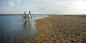 Estancia Vik Jose Ignacio Punta_del_Este_79642_97KB_210711