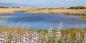 Marin_81292_98KB_240811
