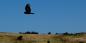 Marin_81293_96KB_240811