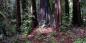 Marin_81299_99KB_240811