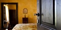 Pasha Suite