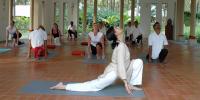 Yoga Retreat (3 nights)