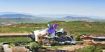 Hotel Marques de Riscal, Spain