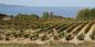 Corsica_85465_210KB_051211