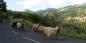 Corsica_85473_221KB_051211