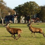 The Gunton Arms, United Kingdom