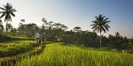 COMO Shambhala Estate, Indonesia