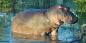 Kruger__Around_91001_80KB_110412