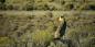 Hermanus__Overberg_91008_152KB_110412