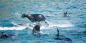 Garden_Route__Eastern_Cape_91010_198KB_110412